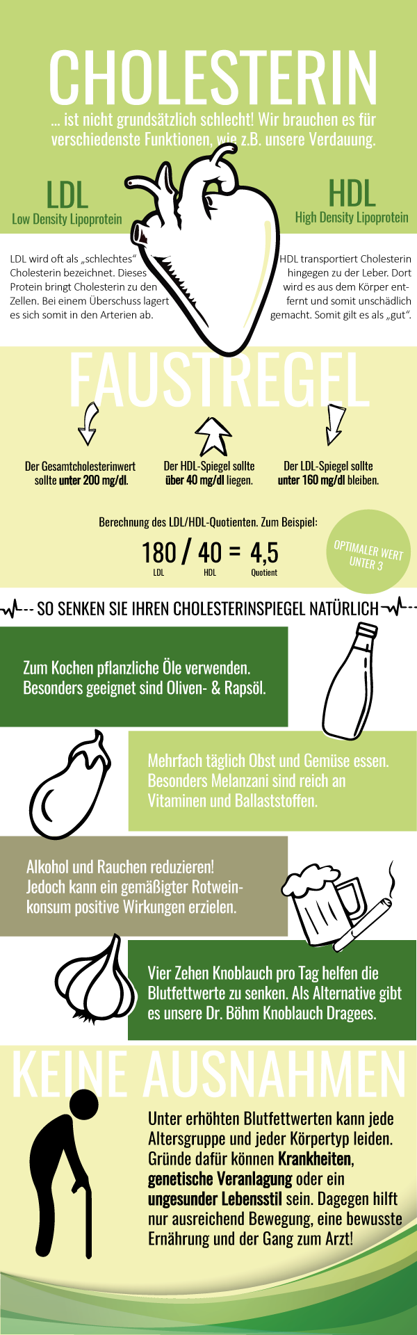 alle fakten zu cholesterin auf einen blick infografik klein