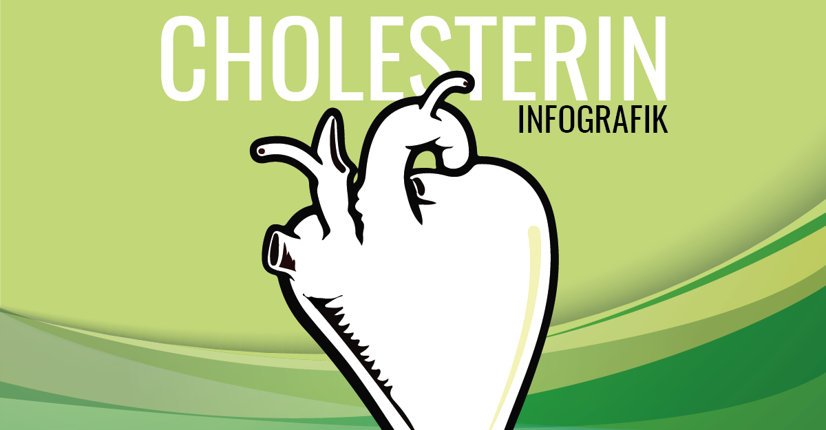 cholesterin werte infografik