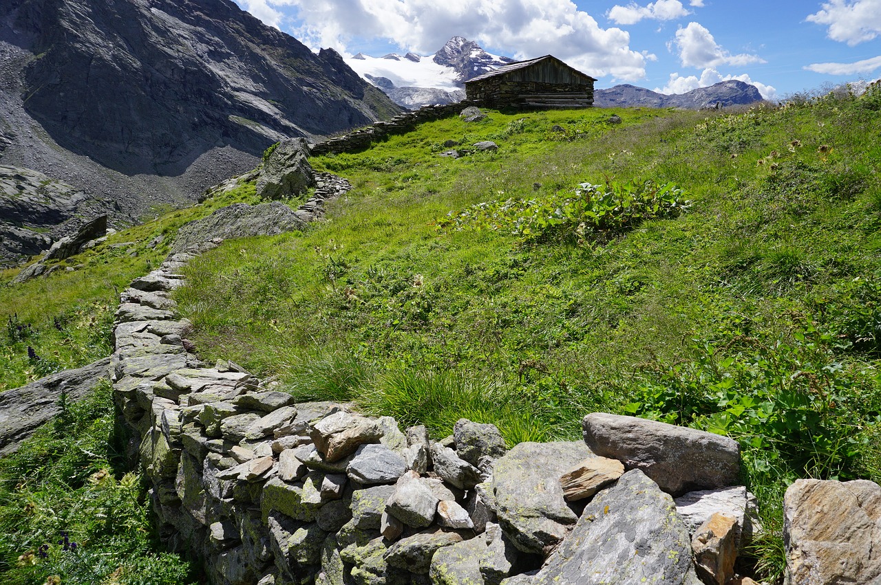 fit bleiben mit wandern